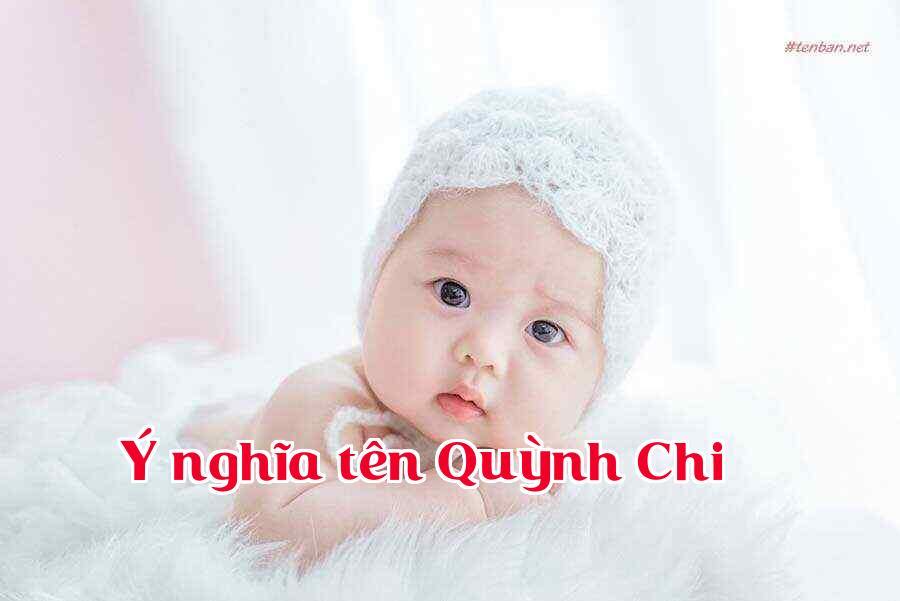Ý nghĩa tên Quỳnh Chi