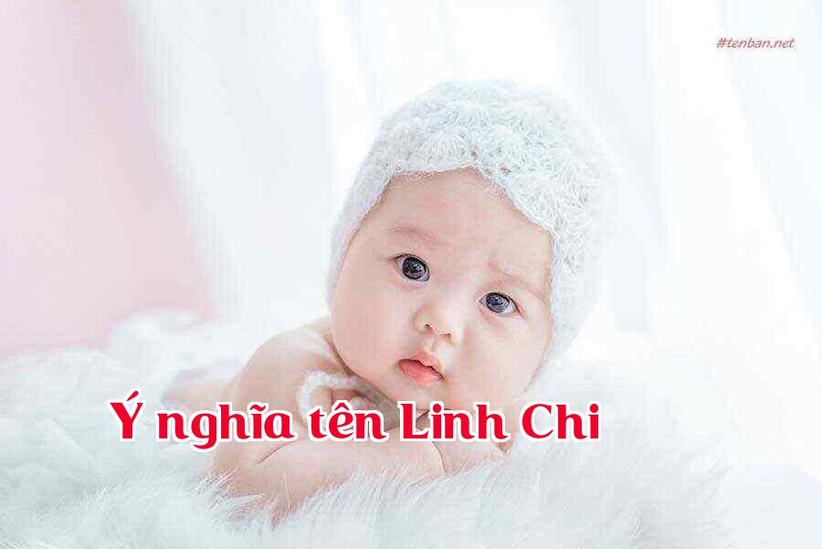 Ý nghĩa tên Linh Chi